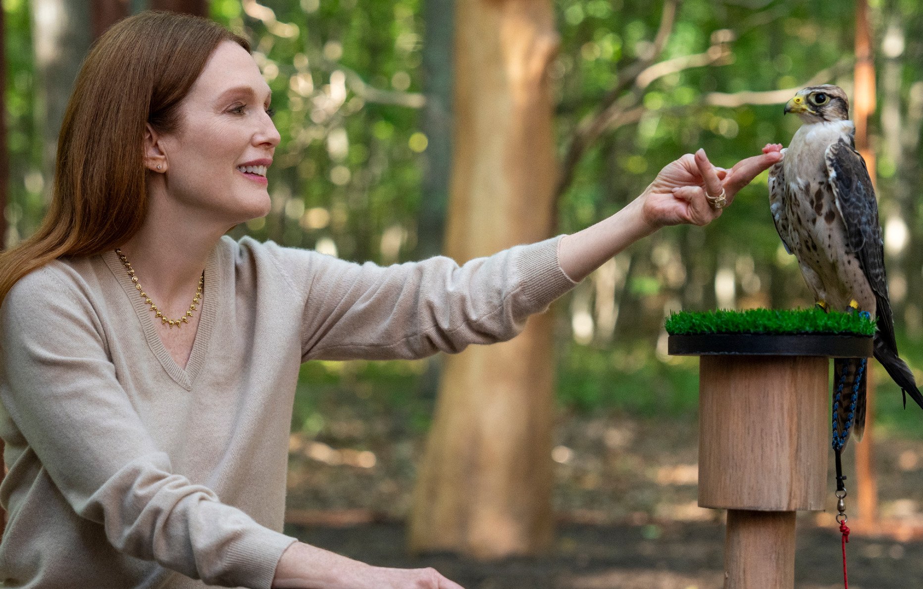 Julianne Moore dans la série Sirens.